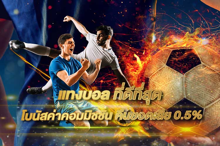 เว็บแทงบอลออนไลน์ที่ดี 2025 เว็บตรงที่มืออาชีพเลือกใช้